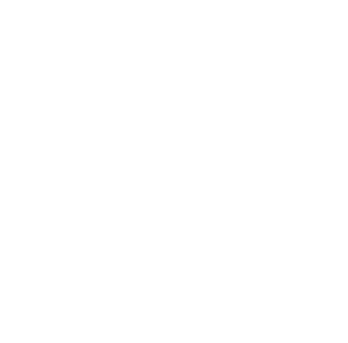 Expert Legal Advice