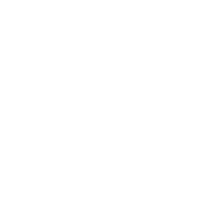 Business Formation