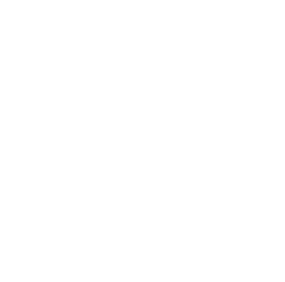 Debt Collection Management